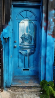 DOOR-6