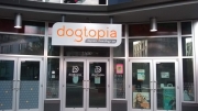 dogtopia