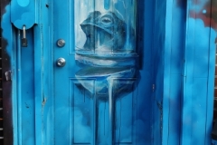 DOOR-6